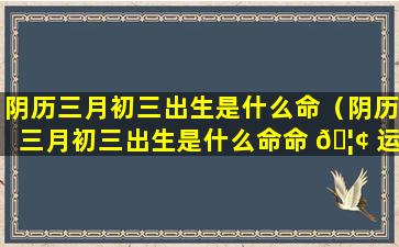 阴历三月初三出生是什么命（阴历三月初三出生是什么命命 🦢 运好吗）